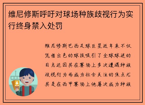 维尼修斯呼吁对球场种族歧视行为实行终身禁入处罚